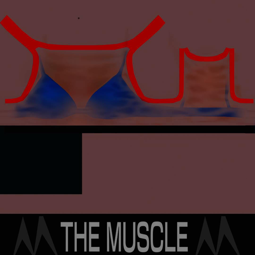 00000_000000-BC6H.thumb.png.aa7ae3fa4adaf6de07c967fbbfa7b0cd.png