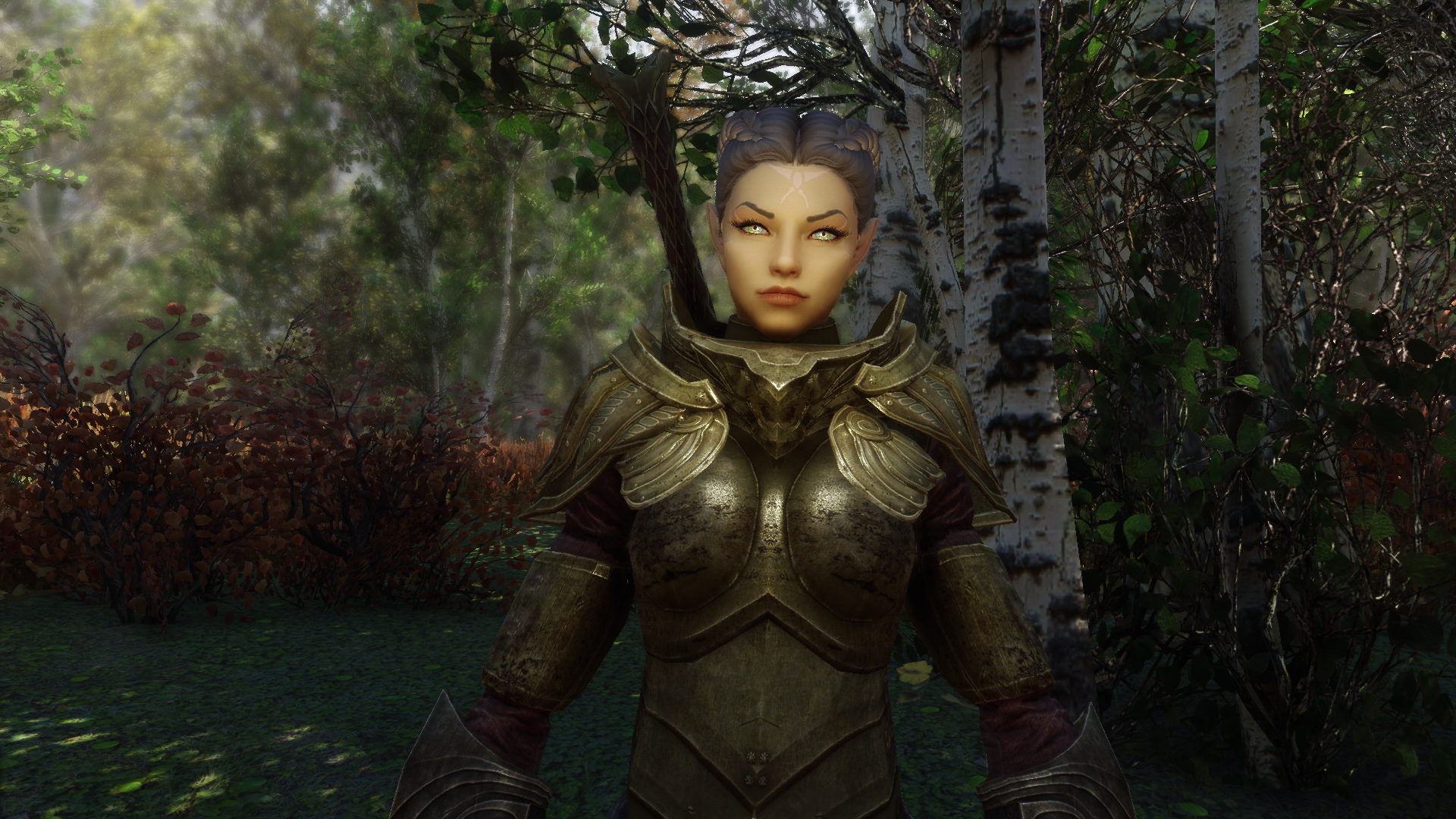 1490668353_SkyrimSpecialEdition31_12_20191_46_06.png.8acab435188af694b1ee88e96cb2bac9.png