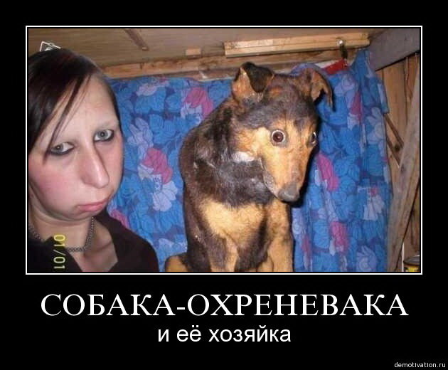 1500167727_-.jpg.6f260243f211f6a56e898489896ce04a.jpg