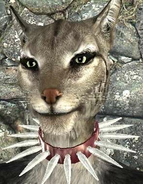 20200122223537_1.jpg.9ad0adb2cf6c0bc710f5b48d7c249f6f.jpg