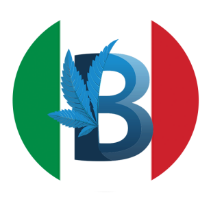 956895727_Senzatitolo-1.png.1e75a5d186cc67758c32f351adef6324.png