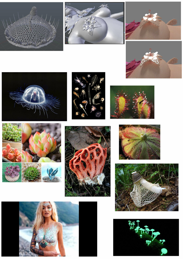 984332431_floweringbreast.thumb.jpg.542b66a2737b62ce1cbcf135b9a1d540.jpg