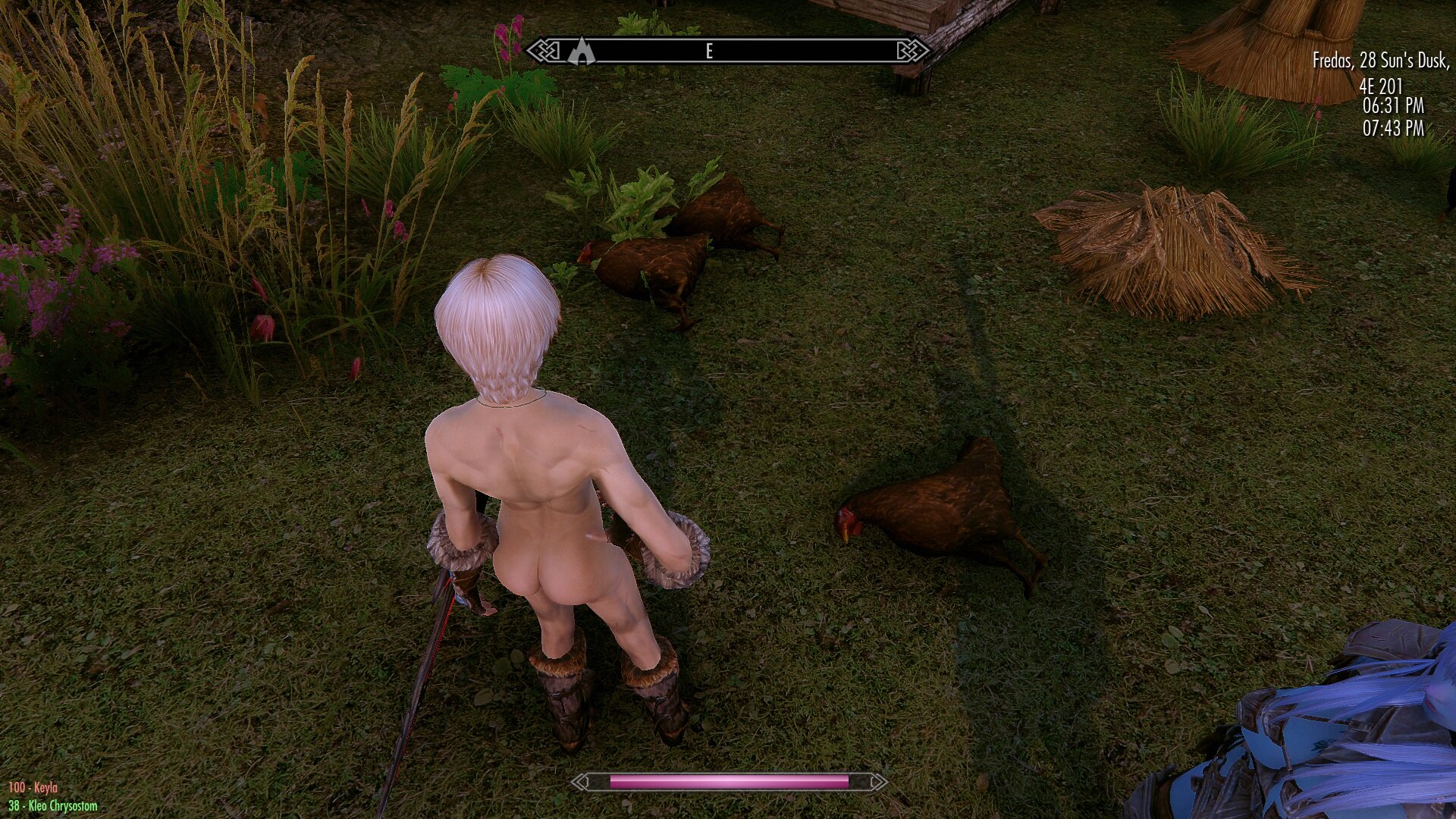 Chickens.jpg.c66c8f9edefc4b25d3f7ec60a8c6a619.jpg
