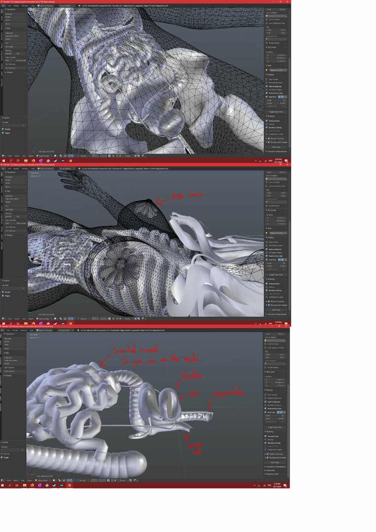 anatomy.thumb.jpg.ea428e5dc01547785d794b3d6207f4ad.jpg