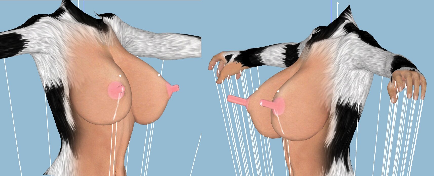 cow.jpg