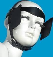 eyeblinders.jpg.cc3d90011cad835124022dfec8943a1b.jpg