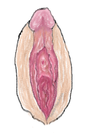 fjhghg.png.a7c13732984337dad2c157386131b3e1.png