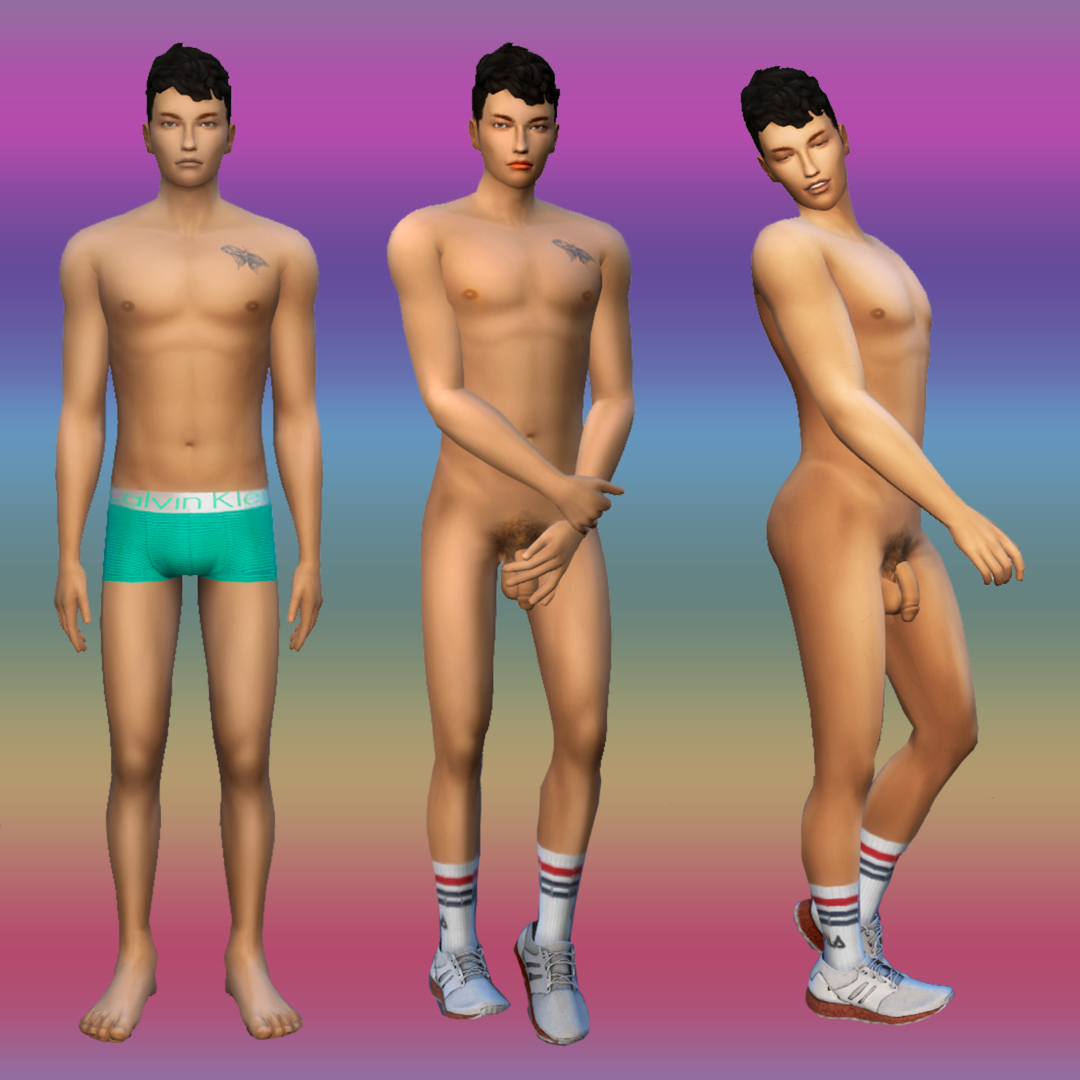 hayd.png