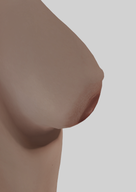 image.png.d9549cc4377040615d4fc9d0c8313182.png