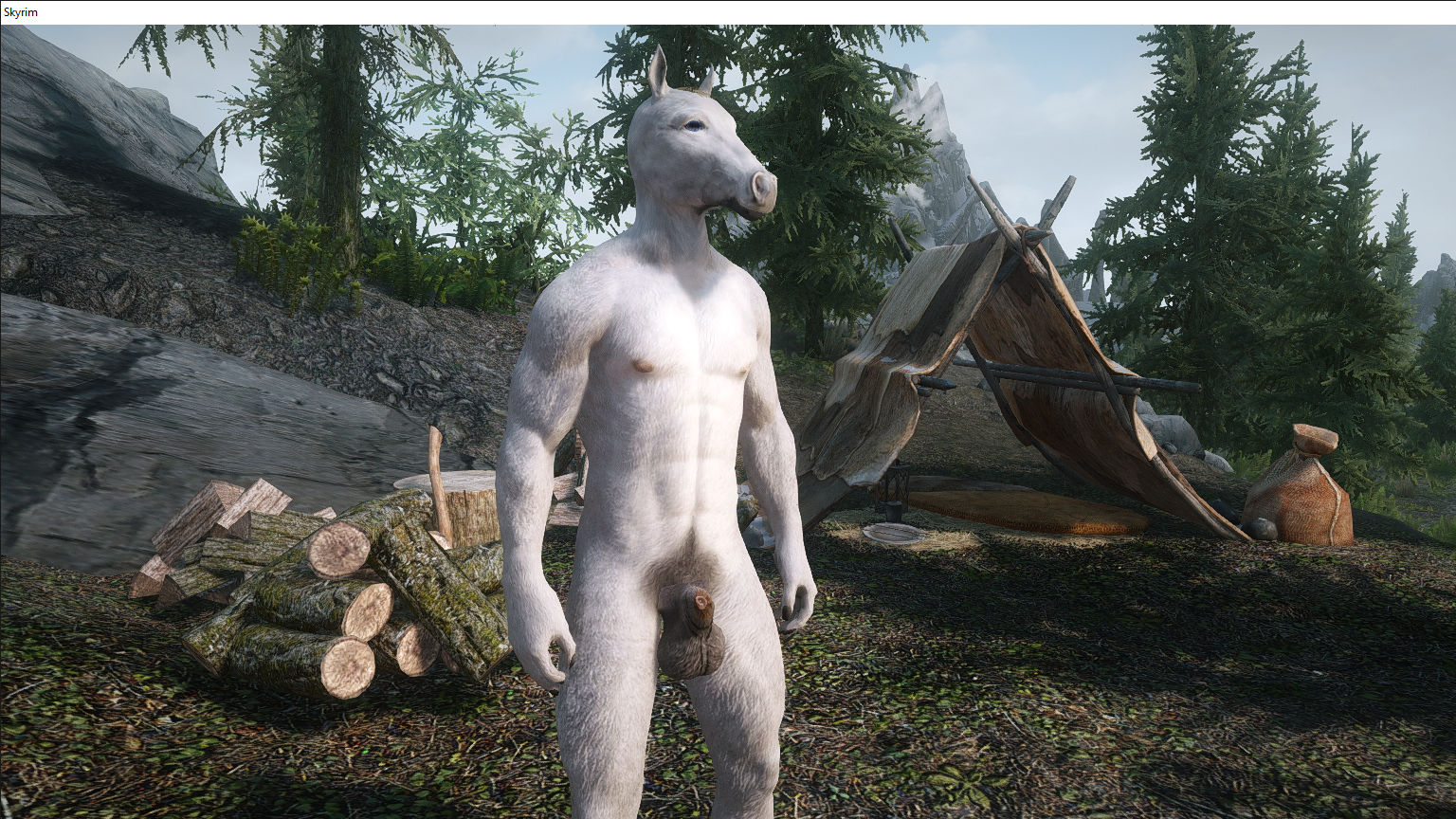 Skyrim 2_21_2020 9_56_46 AM.png