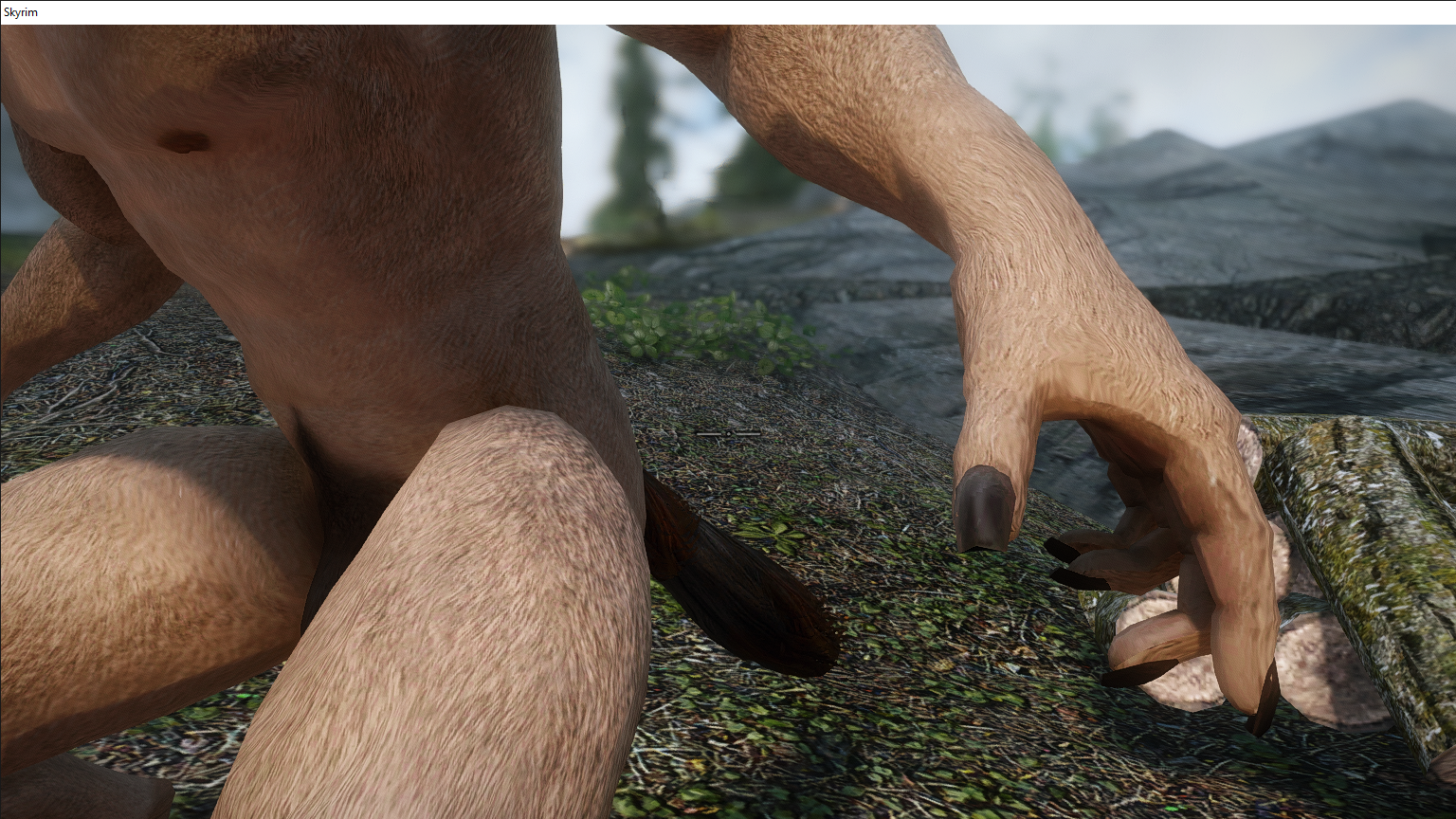 Skyrim 2_3_2020 2_55_23 PM.png