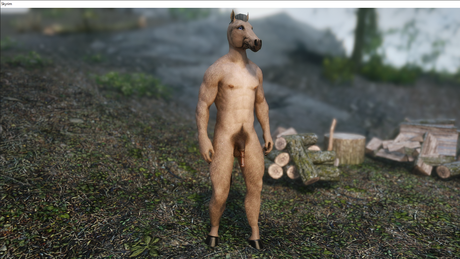 Skyrim 2_3_2020 2_54_40 PM.png