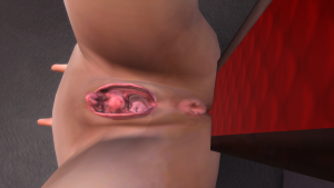 2020-02-11_20-31-29.png.ab1e9be18d9a946af40c8430d9858488.png