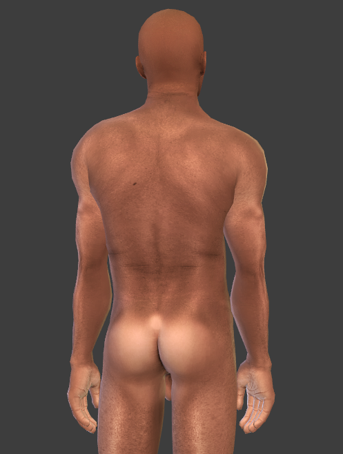 21.02.20_12-55-24RandomSimdulgenceSkinsOverlaysPaint.png