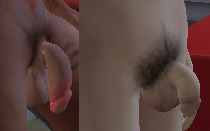 3.png.822d400392dde42b13cf14b27710edfa.png