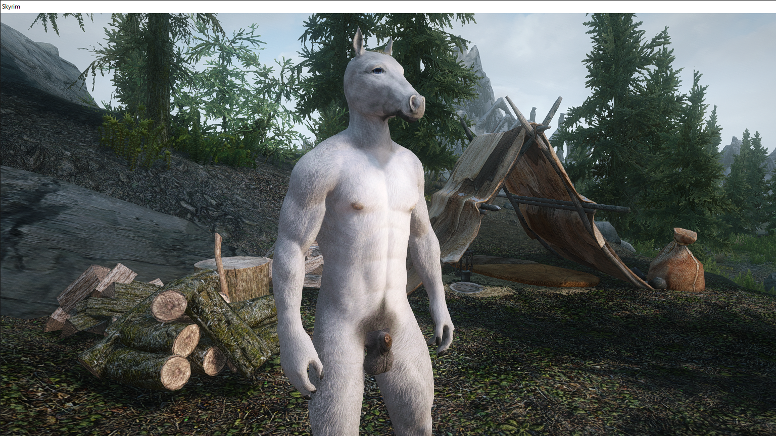 Skyrim 2_21_2020 9_57_39 AM.png