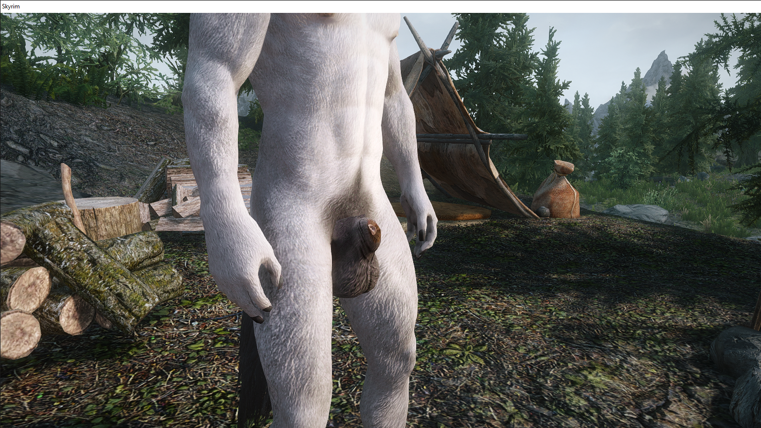 Skyrim 2_21_2020 9_57_02 AM.png