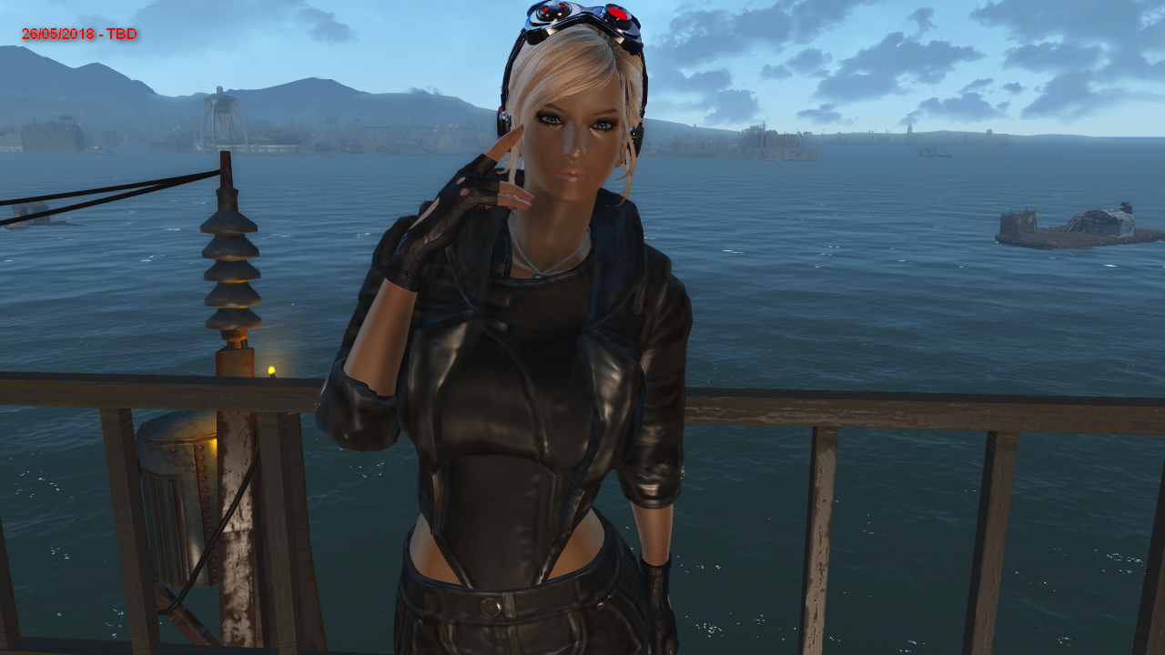 FO4.png.c658fd4c7eb9d6d56f2f64b8c4690e86.png