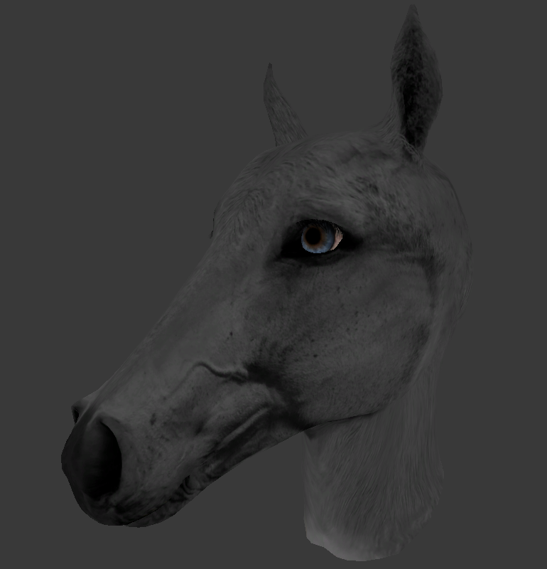 HorseEye.png