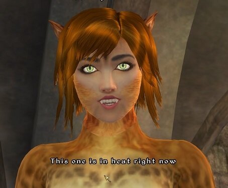 Niara1.jpg