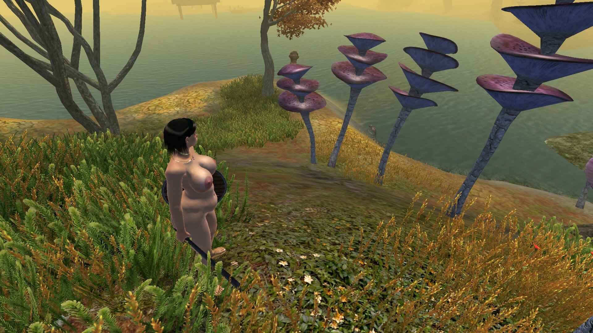 ScreenShot3076.jpg.5ecc82940b3410b99804aefaa346972a.jpg