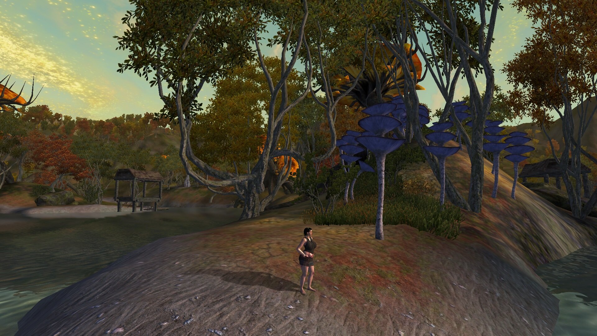 ScreenShot3109.jpg.387828d5c0260b38d83c07c998d82988.jpg