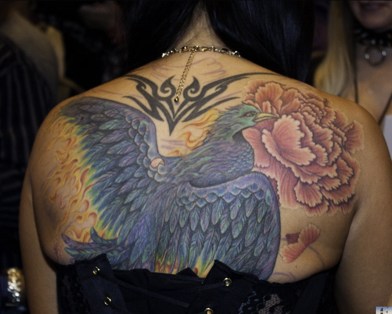 Untitled.png.17d6fbc4d94a887f3b074a1f17befc07.png