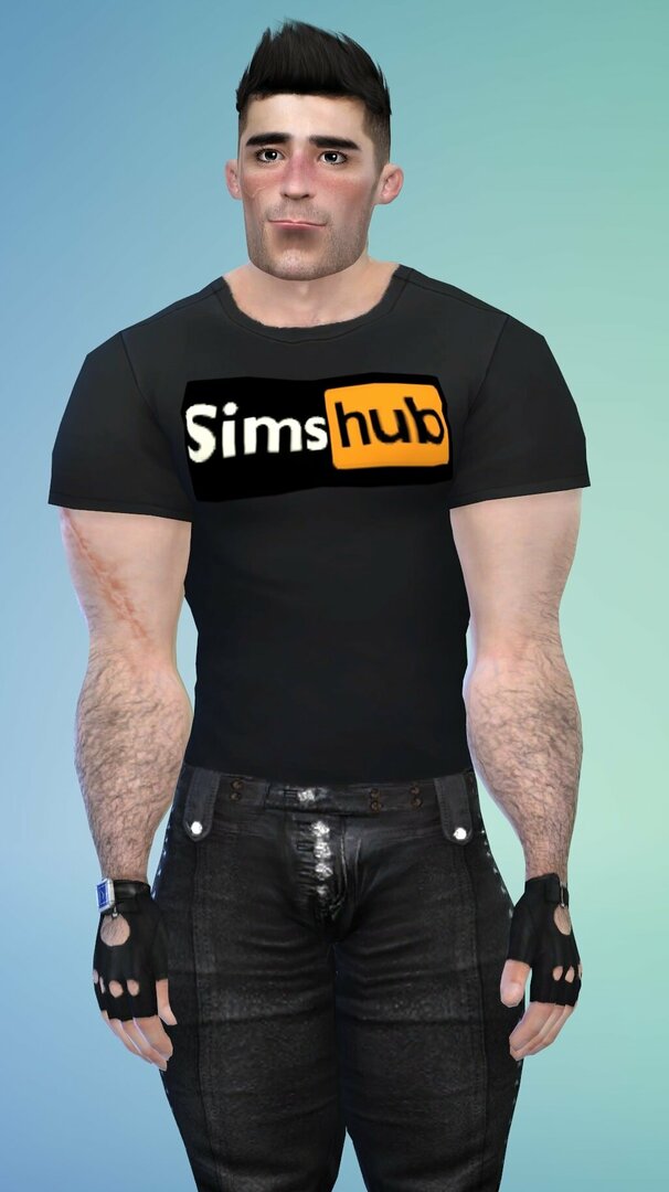 sh2.jpg