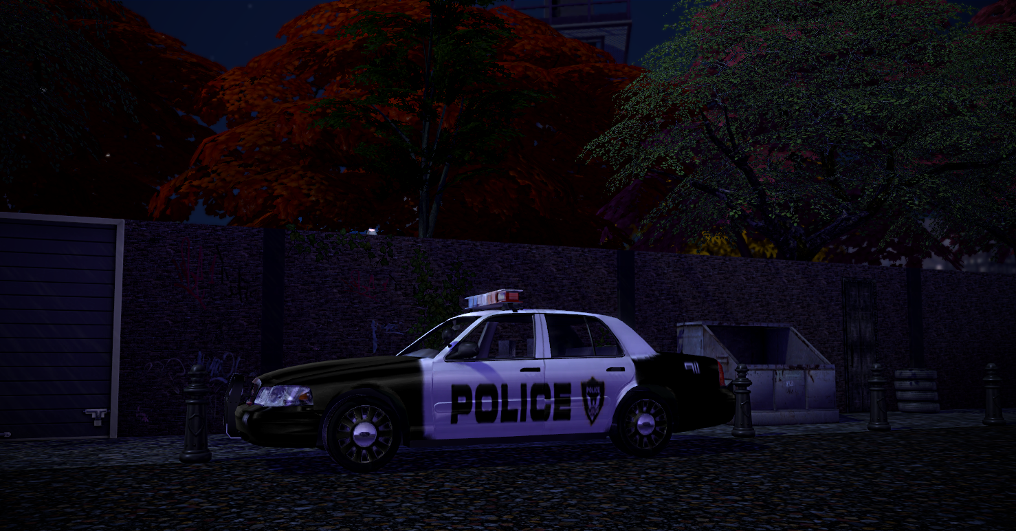 14_03.20_22-13-19CopCar.png.1b8e706a601648549d5026f51727d498.png