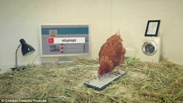 1597028497_chickenpecked.jpg.84f5dacd9c80124bf7bf9f561728269c.jpg