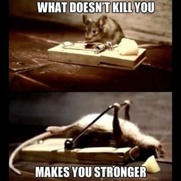16-What-Does-Not-Kill-You-Motivational-Meme.jpg.ab88f60118445e5c08d39b2577049a17.jpg
