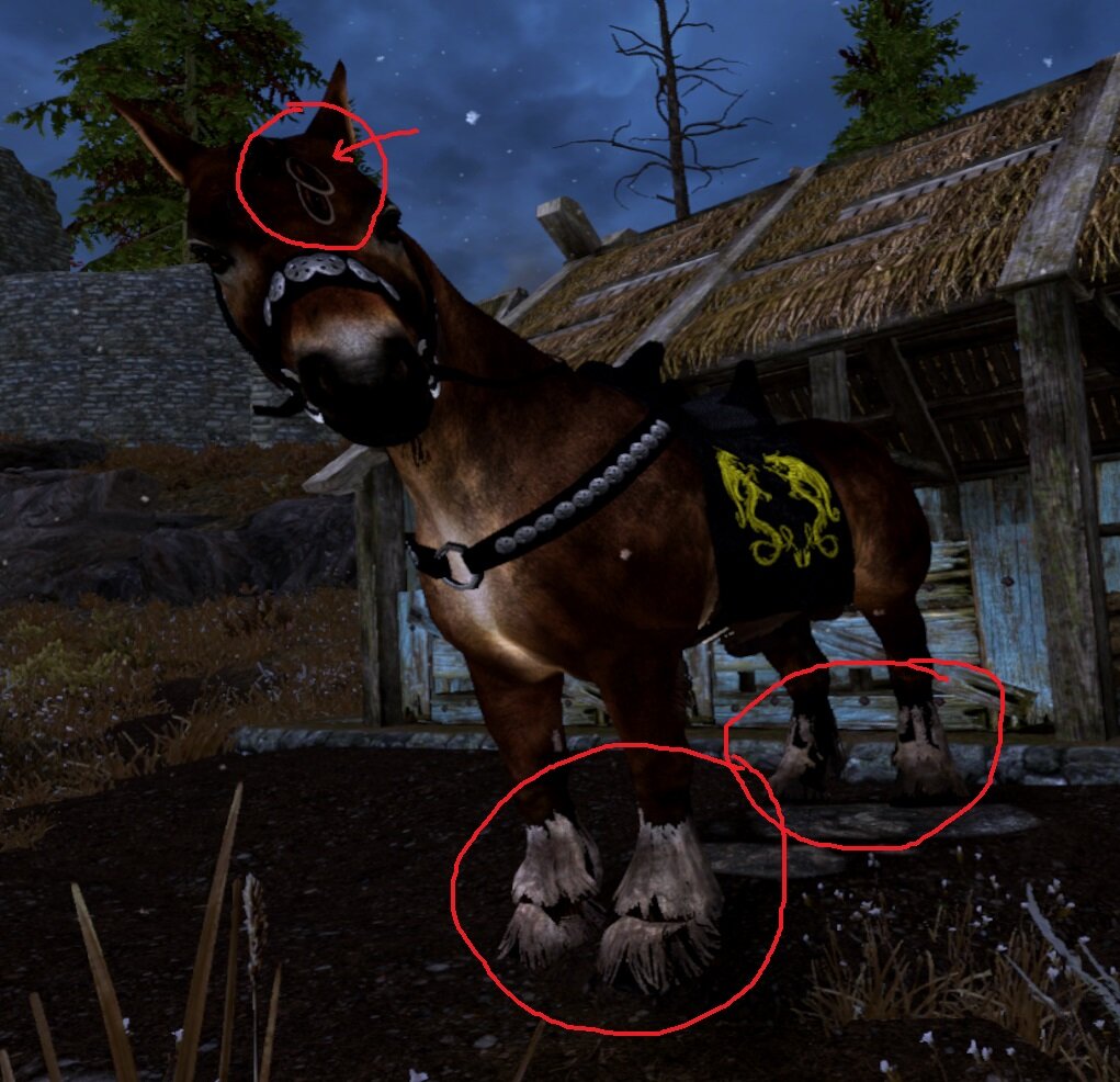 1623380183_horsefront.jpg.4ef8d1e5e874961aba848eab270c68cf.jpg