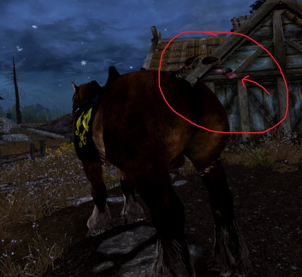 789603298_horseback.jpg.4639cf8aca92798345ca6f3bbd0b9f9f.jpg