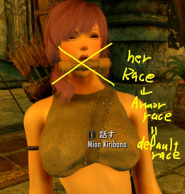 ArmorDefRace.JPG.93433173a06ec7c78e17fb4120a26a6d.JPG