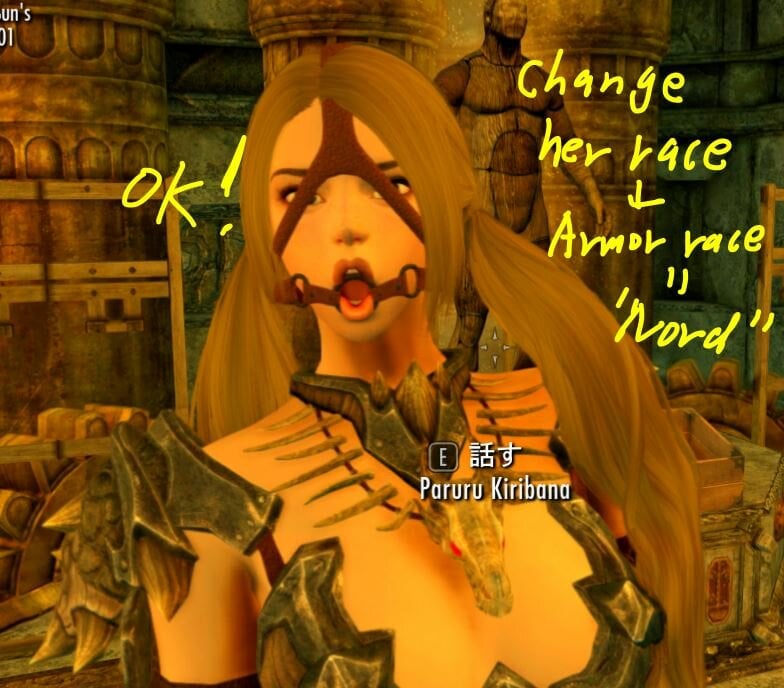 ArmorRaceNord.JPG.515d3439b274cc6115af97f3bb509b85.JPG