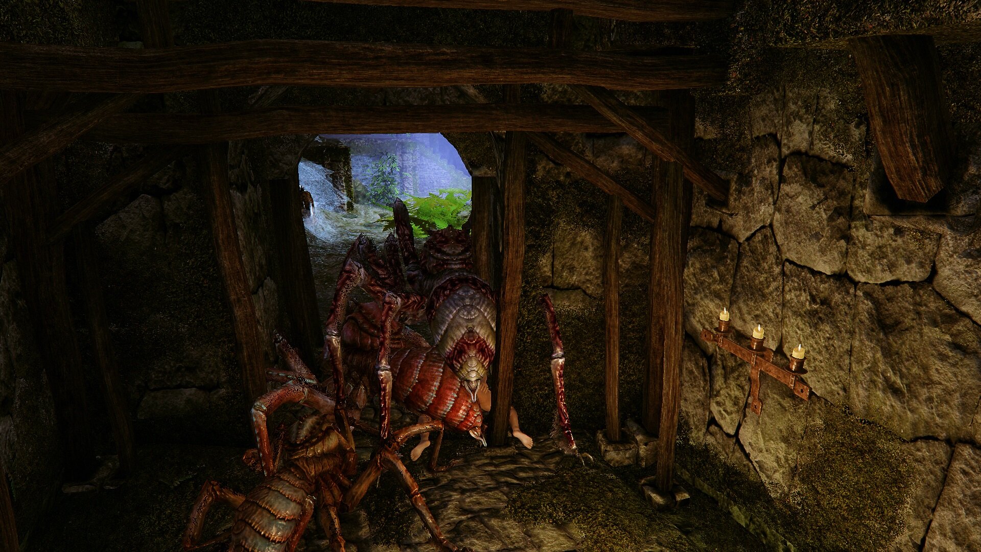 Spiders.jpg.0fc0ae98061166dfaacbeb05aabcc8e4.jpg