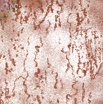 Tex.png.1e5a1bd3626ce5eb050889ae03e45128.png