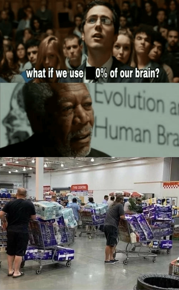 image.png.66deeb6cede685464d090774e2e53cef.png