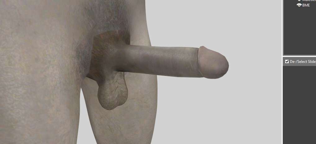 image.png.ff7f0f69f683da9748286f91ee8b3ee4.png
