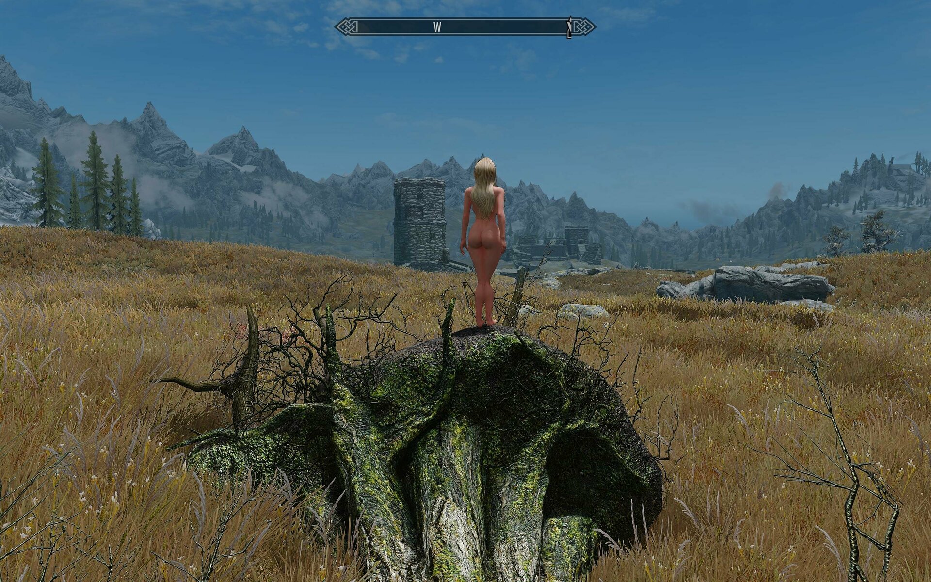 SkyrimSE 2020-04-30 01-09-45-12.jpg