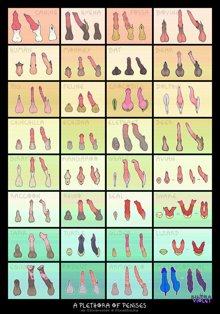 1206299513_tumblr_mtvdm1pAm21rdi3mfo1_1280(1).thumb.jpg.895eb009193537e9c139ec85f5dc97fd.jpg