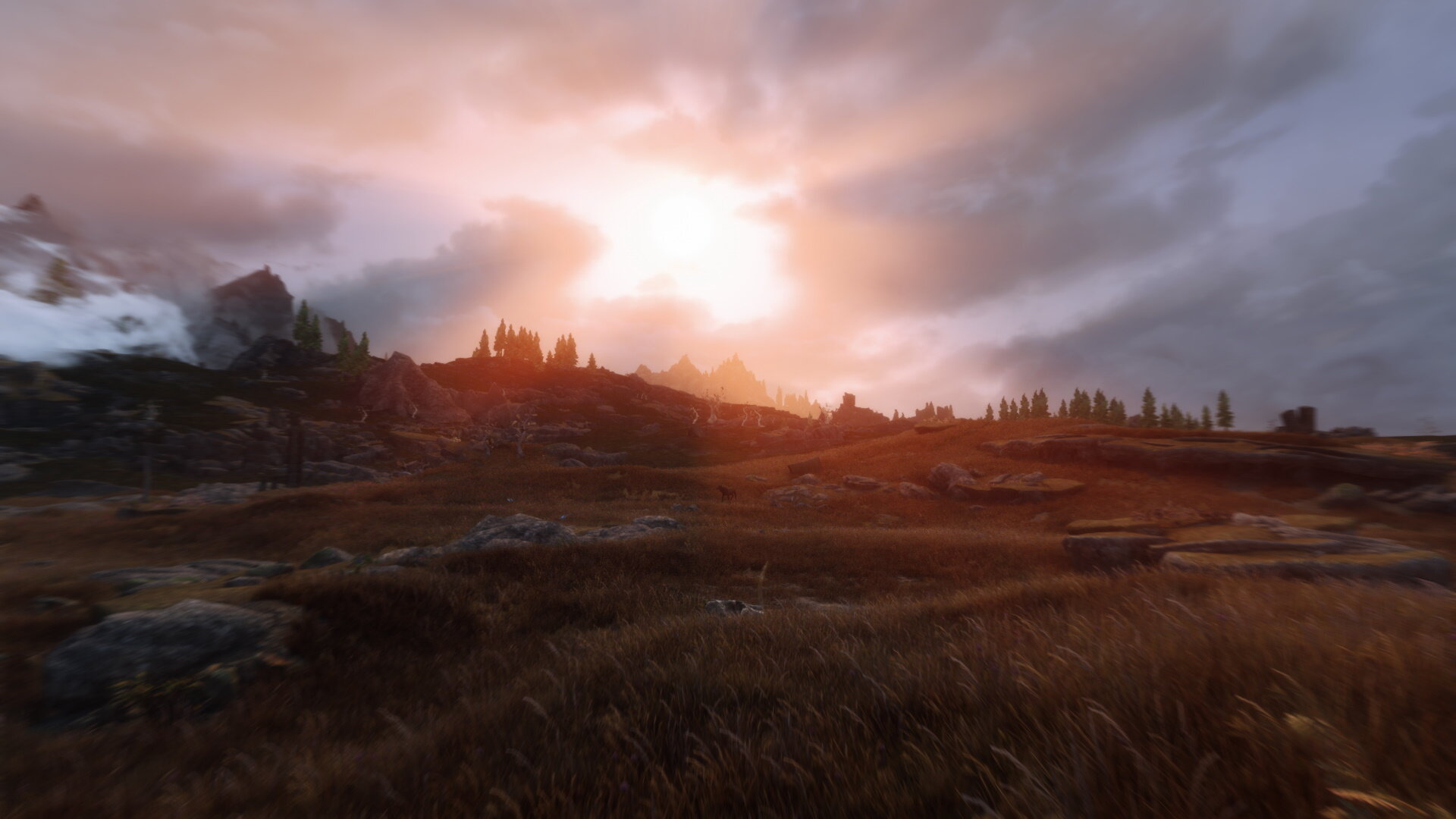1284558847_Plaines-Dusk01.jpg.463c39d7cdfcd0d2df0e62d9e0848364.jpg