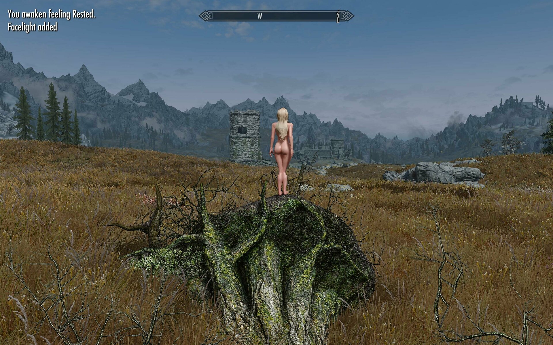 SkyrimSE 2020-04-30 01-12-01-84.jpg