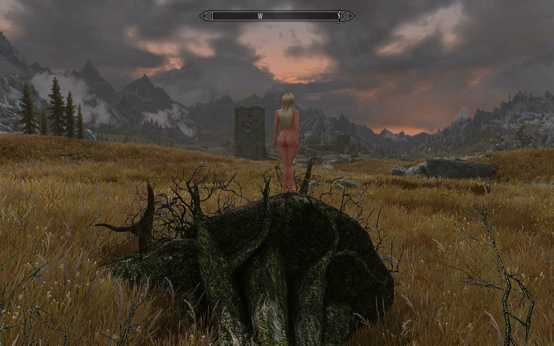 SkyrimSE 2020-04-30 01-10-05-61.jpg