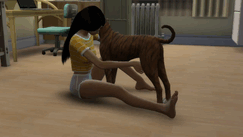 160.gif.b8b7bdc5393fa0cc5c06d6bfe4631d4b.gif