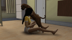173.gif.5a3a1114634ed2db2a7fb7c521b1d27e.gif