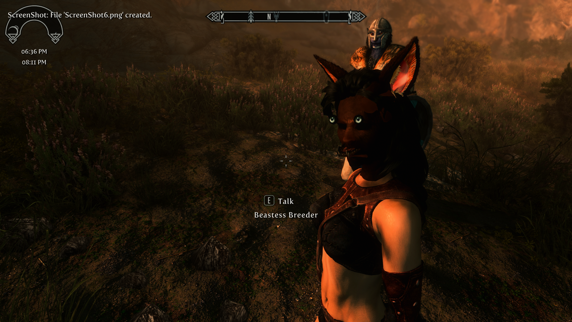 SkyrimSE 2020-04-06 20-11-52.png