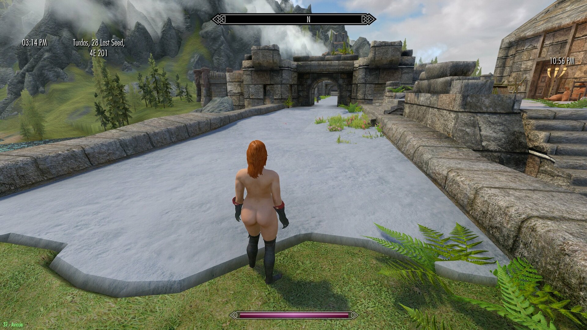 445653153_Windhelm3.thumb.jpg.32038f964e7cb43d2255d66f63241867.jpg