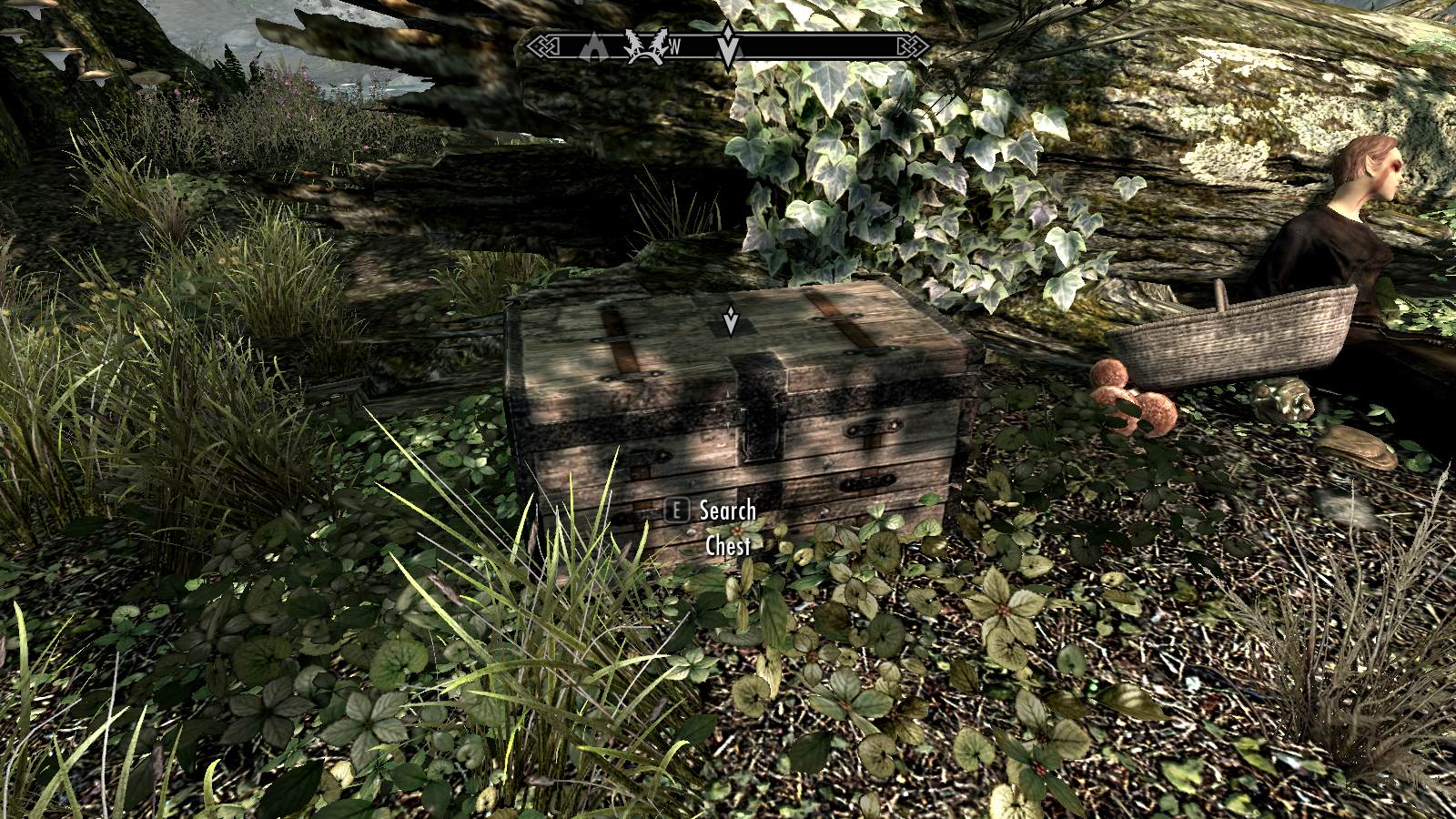 Clearpine.png.d4b83d824b59ce0ec345fa255e1fbca9.png