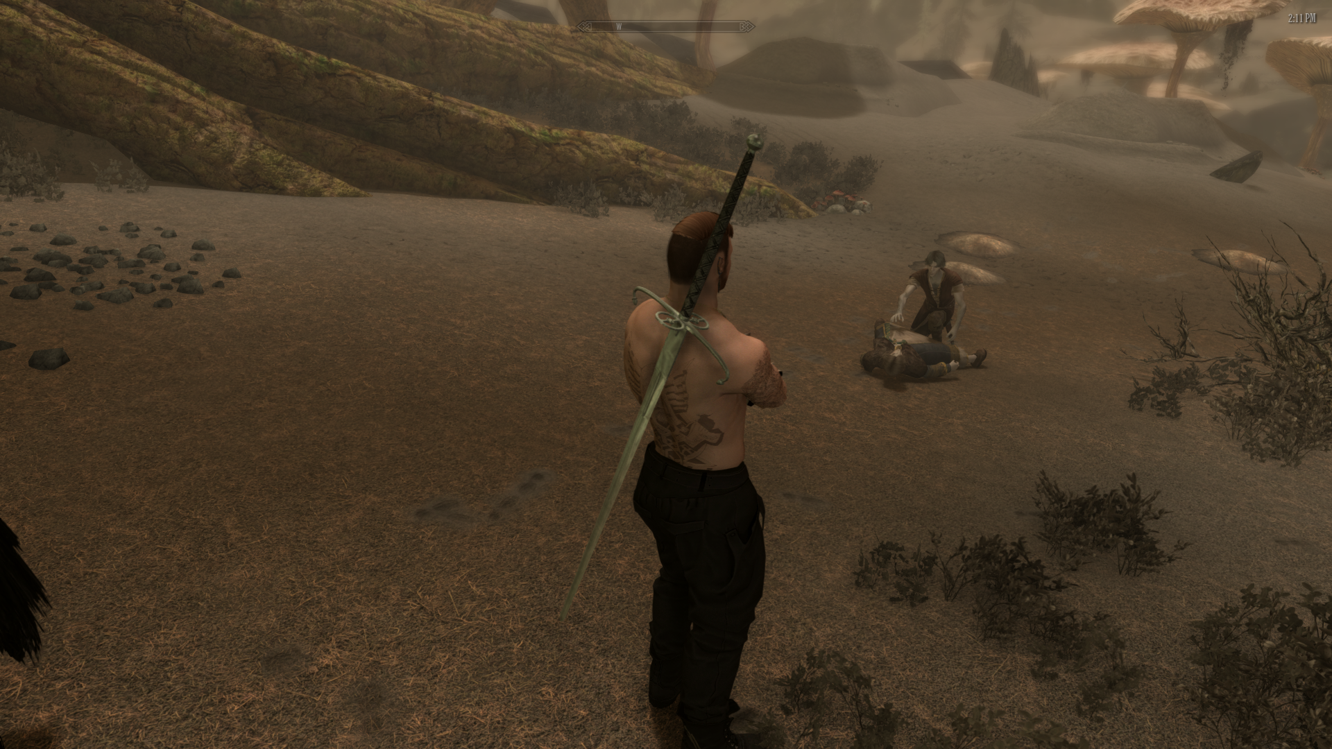 Skyrim1565.png.3b8fc7570d0f47d472cd0b8d33929d78.png